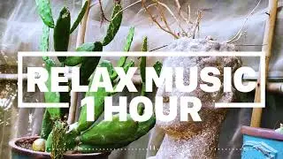 Zen Focus: Immerse Yourself in Relaxing Piano (1 Hour)- NERO ON AIR