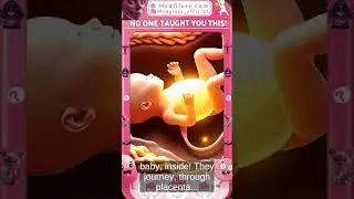 Ever Wondered How Your Food Reaches Your Baby? | The Placenta's Amazing Role Explained