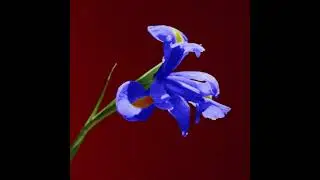Stevie Bill - Indigo (Official Audio)