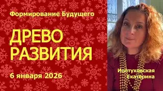 Древо Развития. Формирование Будущего