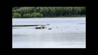 Otter Lake @ JBER, Alaska