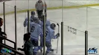 New Ulm Steel vs Coulee Region Chill Highlights Jan 11, 2019