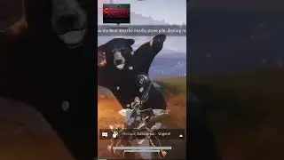 This Game Lets You Throw a Bear | Where Winds Meet #WhereWindsMeet #wherewindsmeetgameplay