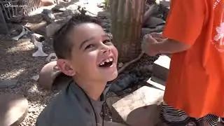 The wildest summer camp is at Phoenix Herpetological Society