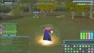 Warshade Punt
