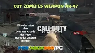 COD BO1 cut weapon in zombies AK-47