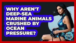 Why Aren't Deep-sea Marine Animals Crushed By Ocean Pressure? - The Marine Life Explorer
