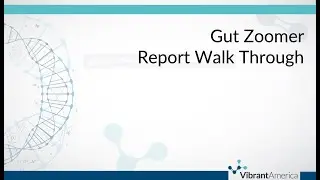Vibrant Gut Zoomer Report Walk Through