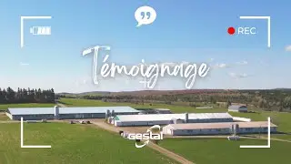 Témoignage client: Le système d’alimentation GESTAL transforme l’efficacité des fermes porcines