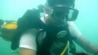 scuba diving in tarkarli