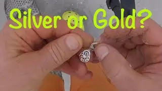 Пляжный металлоискатель на побережье Мексиканского залива, Флорида, Treasure Surprise 750