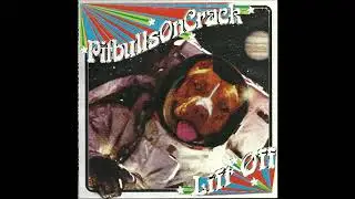 Pitbulls On Crack   Up u0026 Down