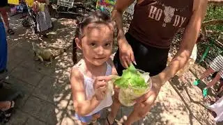 tampico (carpintero) 
