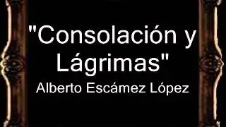 Nuestra Señora de Consolación y Lágrimas - Alberto Escámez López [CT]