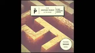 Geopard Tourist - Losing Concentration (Original Mix) [Playground Records]