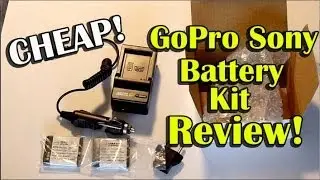 Cheap GoPro Sony Battery Kit Review - Wasabi Power Battery Review