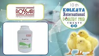 Chemical Manufacturing | Rossari Biotech  | KIPF 2024 | HYBIZ TV