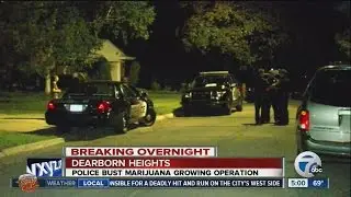 Police bust illegal marijuana grow operation in Dearborn Heights