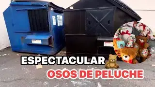 DUMPSTER DIVING ESPECTACULAR OSOS DE PELUCHE😳 🧸#dumpsterdiving #loquetiranenusa 