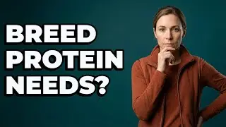 Does My Dog's Breed Influence Its Protein Needs?