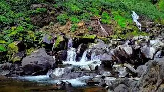 River Sound Relaxing &ndash; Sleep Soundscape with Gentle Flowing Water and Forest Birds