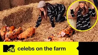 Holly Hagan Gets Full Marks As She Attempts To Separate Piglets | Celebs On The Farm