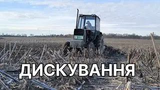 Дискування палки соняшнику, трактор ЮМЗ+АГ-2,4 , 2025.