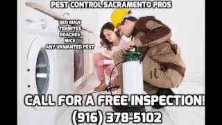 dewey pest control sacramento ca-916 378-5102