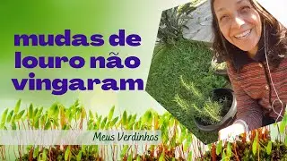 Nem sempre da certo