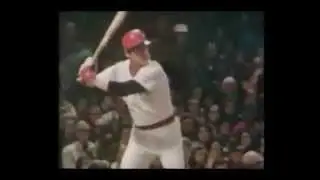 1984 MLB Baseball Fever 