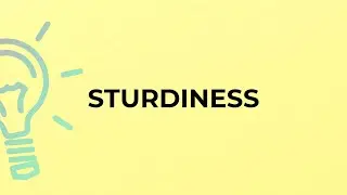 What is the meaning of the word STURDINESS?