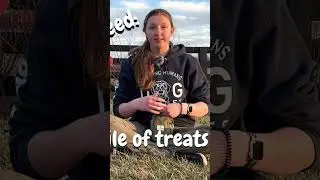 Go To Mat (AKA The Hot Zone)- The Dog Training Crash Course (part three) #shorts