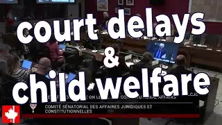 Court delays & child welfare: Expert witness on Canada's unified family court expansion