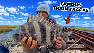 Catching Sheepshead at a Famous Train Track Spot!! 