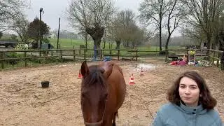 Equifeel virtuel Caval Go Club 2 Manche 1
