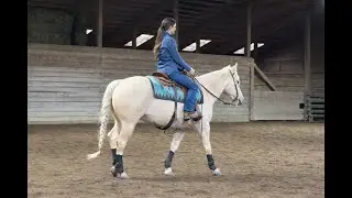 Double S Quarter Horses | Training 12/20 (Class of 2026)