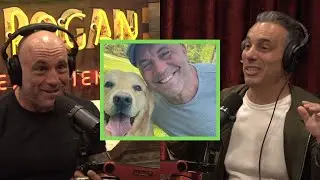 Joe Rogan On Why Dogs Are Better than Cats | JRE