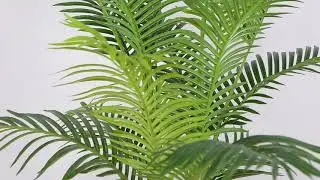 HAWAII I Palm Tree I 5' I Artificial Plant