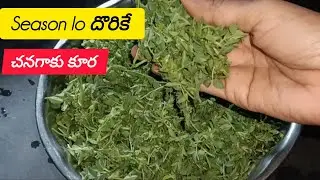 చనగాకు కూర //10 నిముషాలో రెడీ చేసుకోవొచ్చు