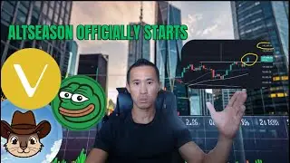 Trading Mistakes Everyone Makes: Latest PEPE PNUT VECHAIN Price Predictions Analysis News