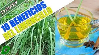 10 BENEFICIOS Del LIMONCILLO o Ca&ntilde;a Santa y COMO PREPARAR el T&eacute; De esta planta