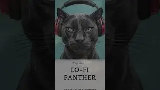 11&deg; FAIXA Short Drizzle on the Window #lofi #jazz #music #art #artist #musica #relax