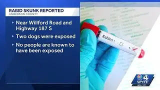 2 pets exposed to rabid skunk in Anderson County, officials confirm