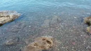 Fishing from shore Lake Ontario