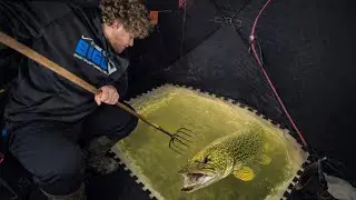 The Biggest Pike I&rsquo;ve Ever Speared! | Darkhouse Spearing MN