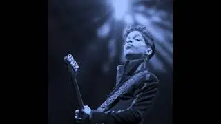 Prince - 