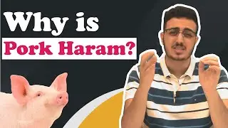 Why PORK is HARAM in Islam 🐷