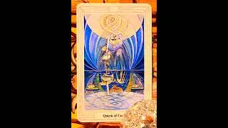 Evening Reading (Single Card) - The Queen of Cups #tarot #night #shaman #thoth #queenofcups