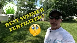 Best Summer Lawn Fertilizers
