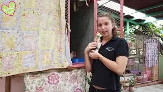 Animal love rescue center in Costa Rica - Virtual Tour